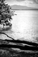 On the Lake Shore