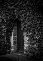 The door