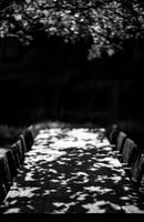 La Table, Sous Le Platane