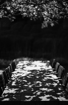 La Table, Sous Le Platane