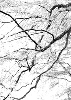 Branching