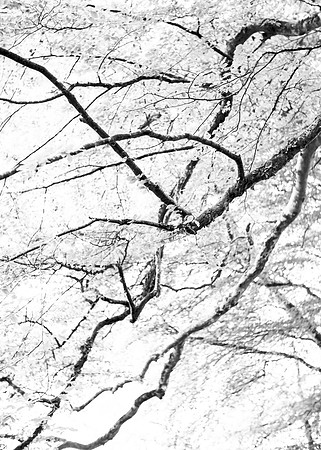 Branching